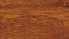 11-Golden-Oak-51-Salamander