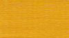 22-Oregon-Salamander